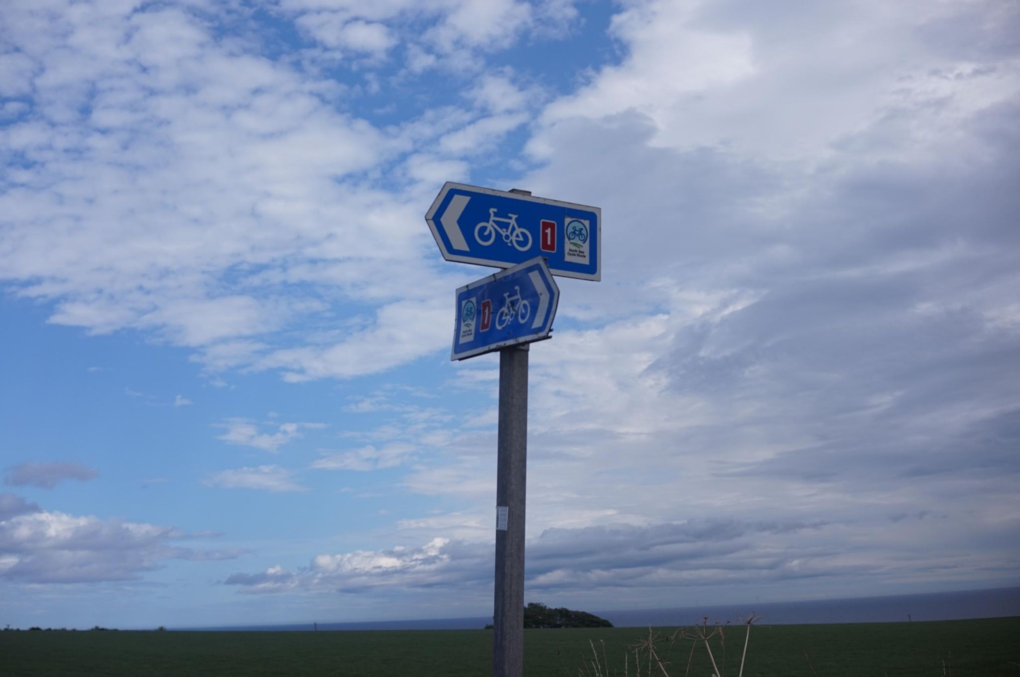 Activity photo